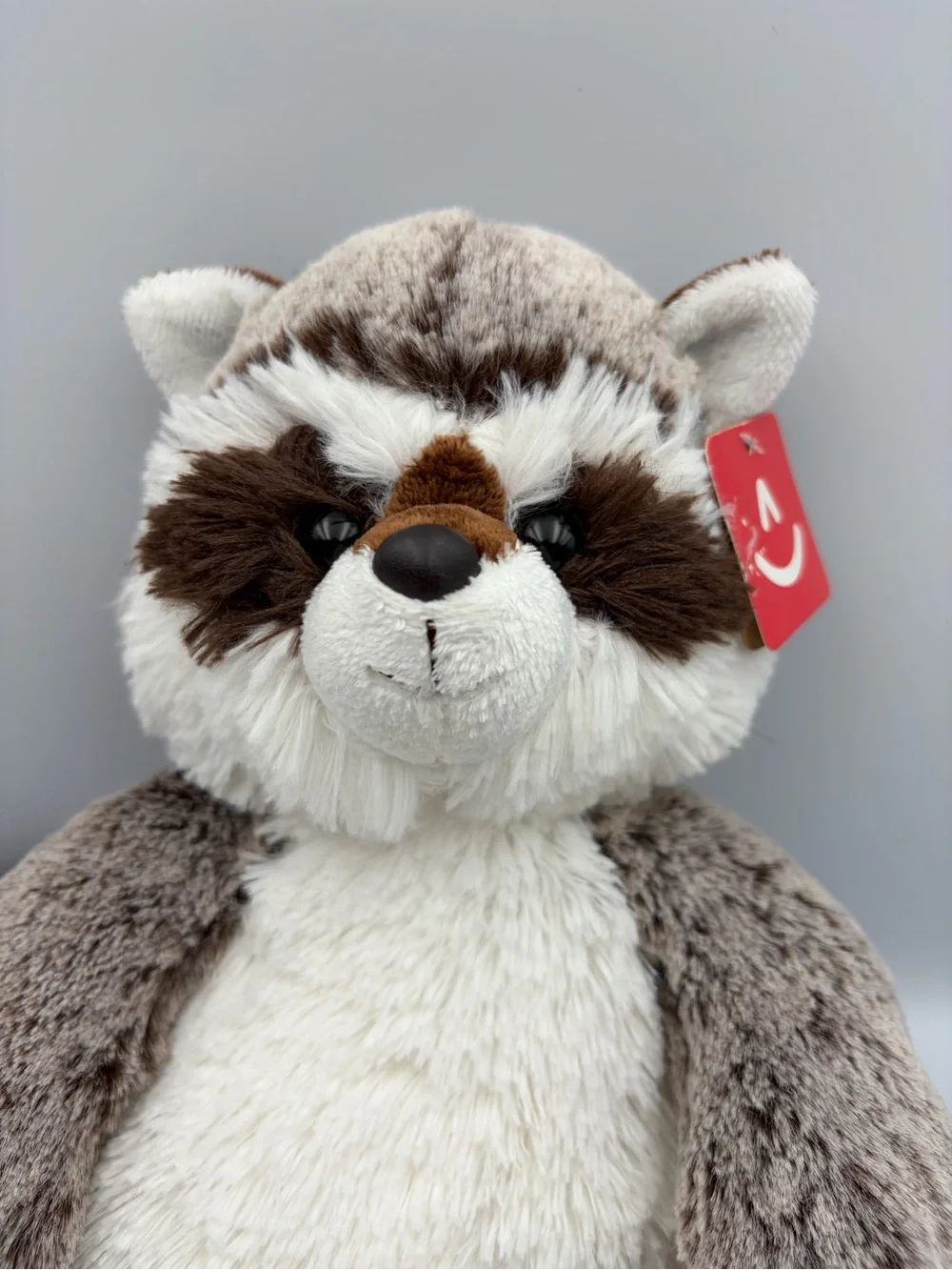 Aurora Rocky Raccoon Stuffie Plush Toy Animal Sweet & Softer Eco Friendly 11